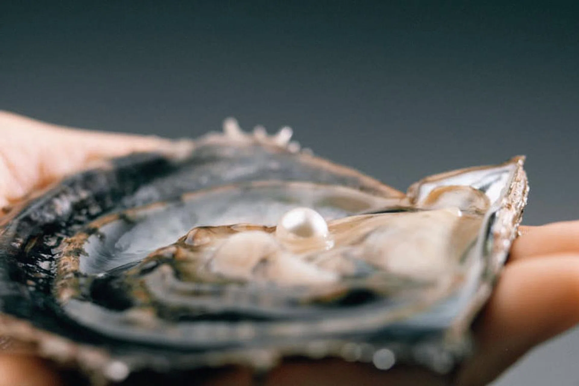 The reasons pearl will always be the most valuable jewellery