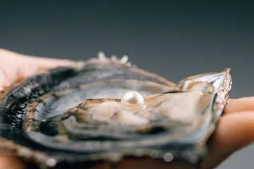 The reasons pearl will always be the most valuable jewellery