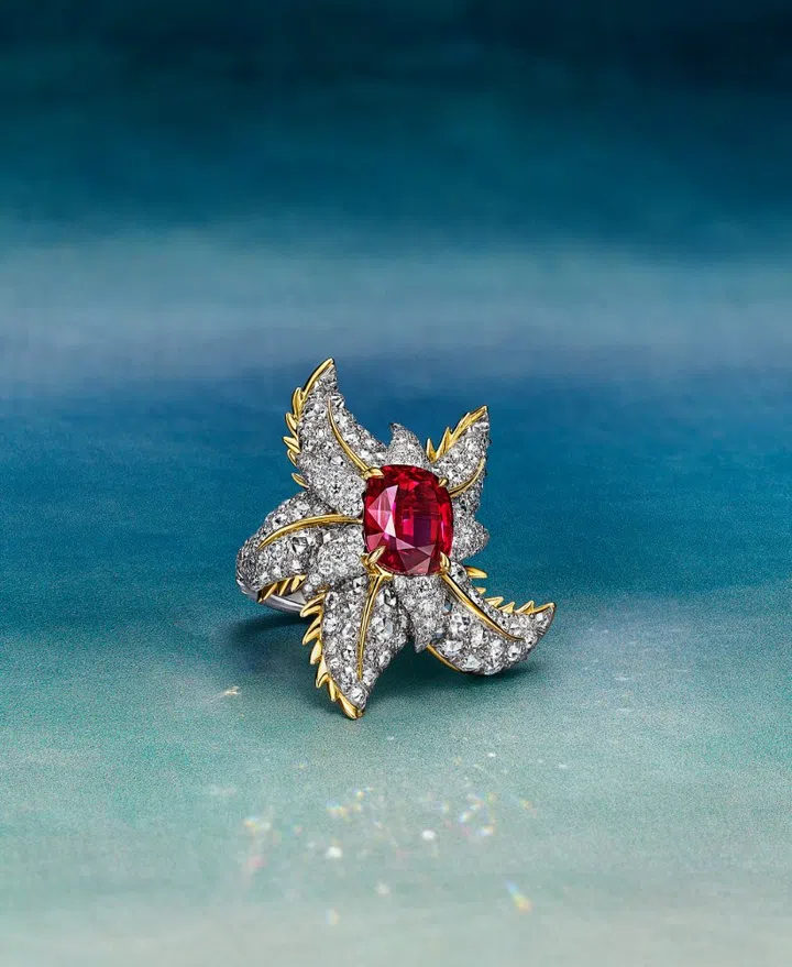 Tiffany & Co., Tiffany Blue Book 2025, High Jewellery