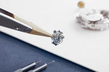 SIHH 2019