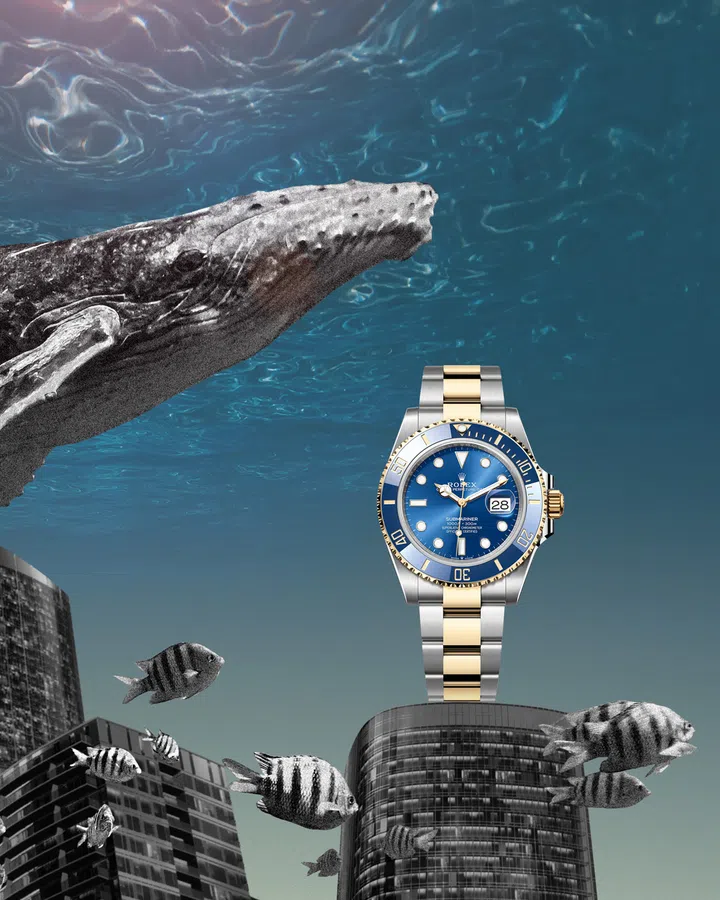 Dive watches, Diving watches, Watches, Rolex