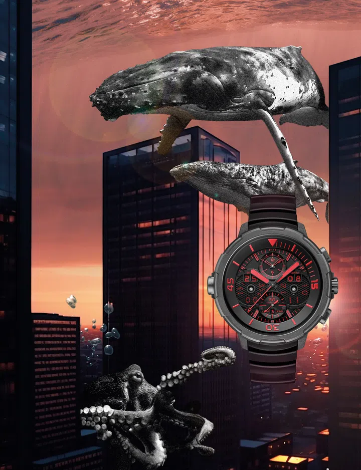 Dive watches, Diving watches, Watches,  IWC
