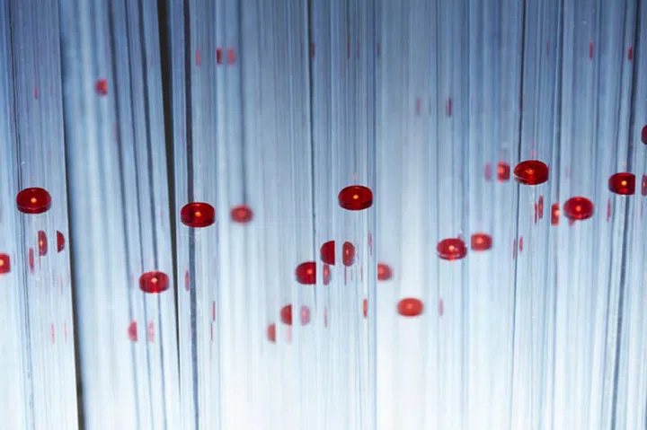 Illusion of glaring red flower monocomplex (Installation)