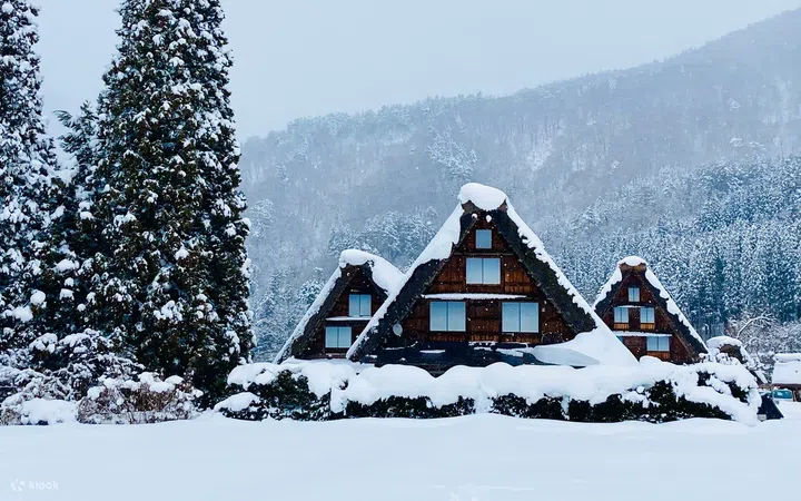 11.11 sales, deal, discount, hotel,flights, travel accessories