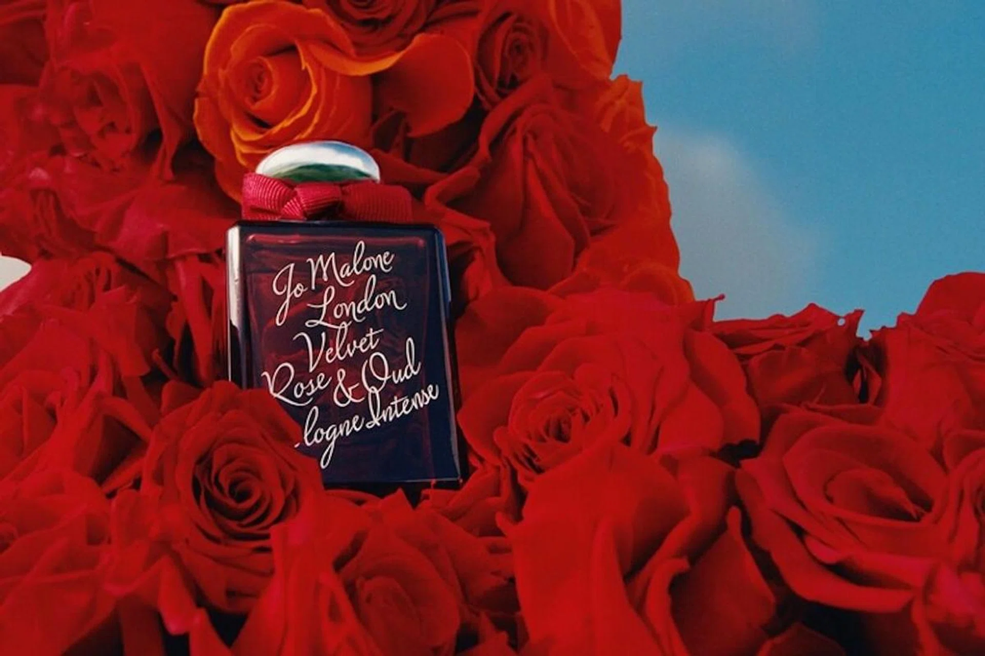 Jo Molone London_Rose Fragrances