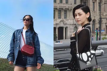 Fashion, Celebrities, Bags