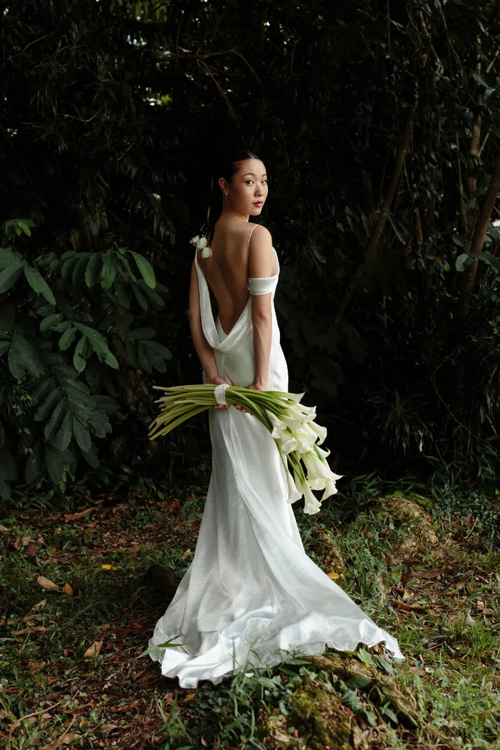 Lim shi-an, wedding photos, nicholas yeo