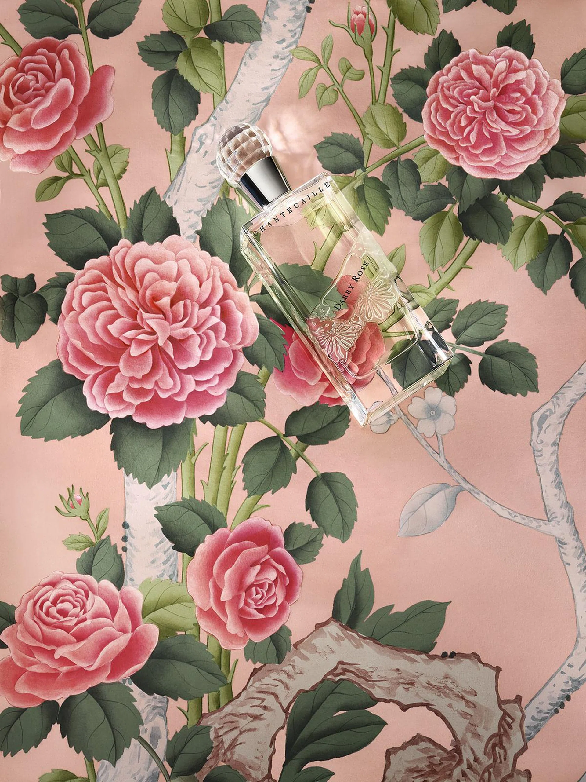 Fragrance, rose-scented, scent, perfume, 香水，玫瑰香水