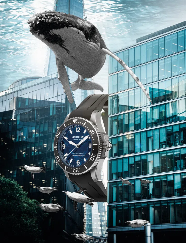 Dive watches, Diving watches, Watches, Montblanc