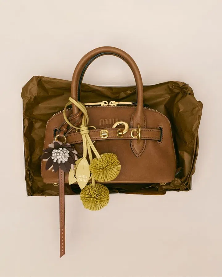 Fashion,Holiday Collection,Designer Bag