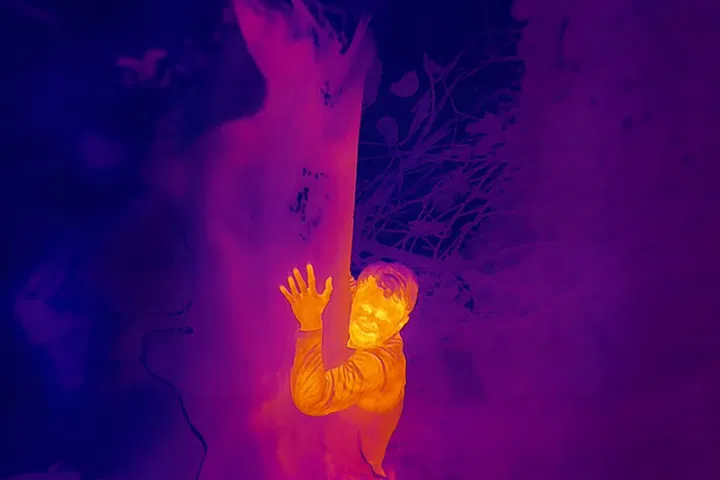 对艺术家而言，探索次生林的过程充满危险