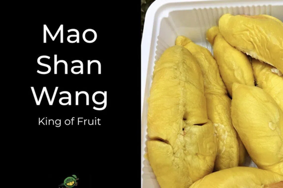 11间让你解馋的榴莲专卖店- NUYOU SINGAPORE《女友》 - 最时尚中文杂志| NUYOU Singapore