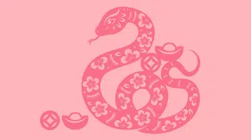 CNY立春存钱吉时-
