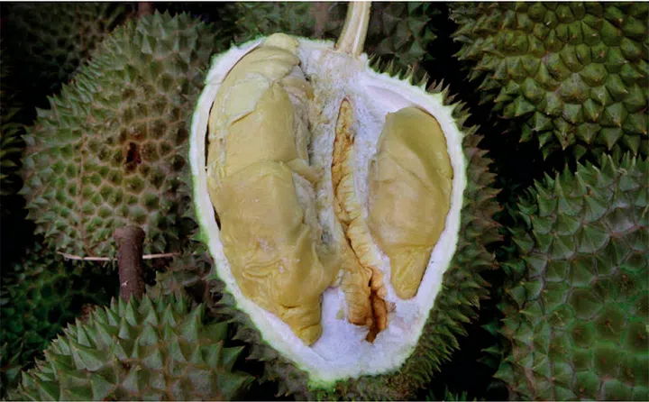 图: The Straits Times