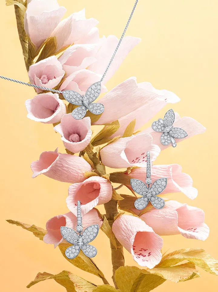 Graff Butterfly Pave Collection