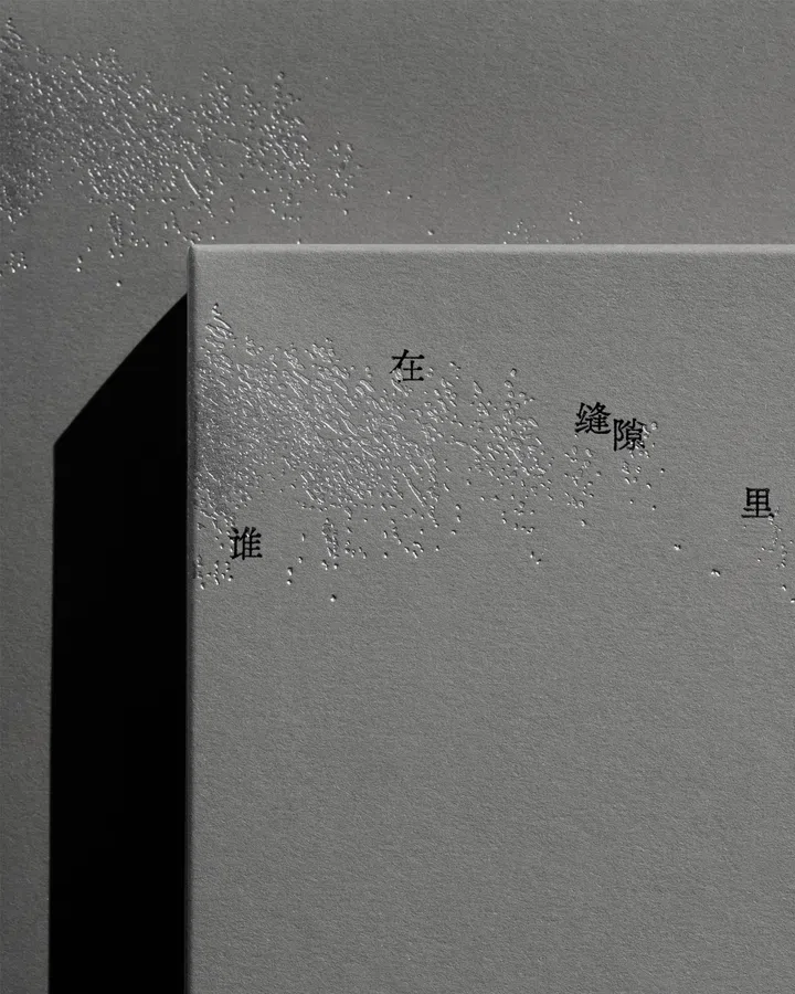 摄影文集封面的一角特写，灰色纸张表面可见细腻纸质纹理与压印形成的凸点质感，局部区域在侧光照射下呈现出微微闪亮的颗粒效果。封面上印有黑色文字“在”“缝隙”“里”“谁”等字样，排列分散，呼应书名意象。背景为同色系灰色平面，封面边缘投下明显阴影，形成清晰的明暗对比，整体画面安静而极简，强调光落在纸张表面的细节变化。林道锦《谁在缝隙里种光》