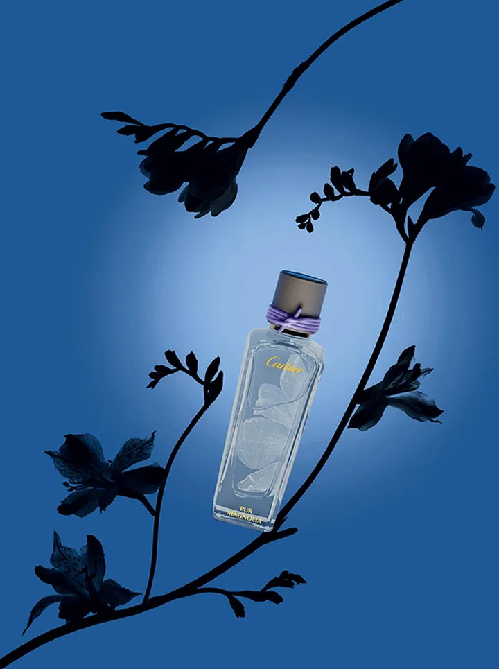 Cartier Pure Magnolia香氛 $395/75ml