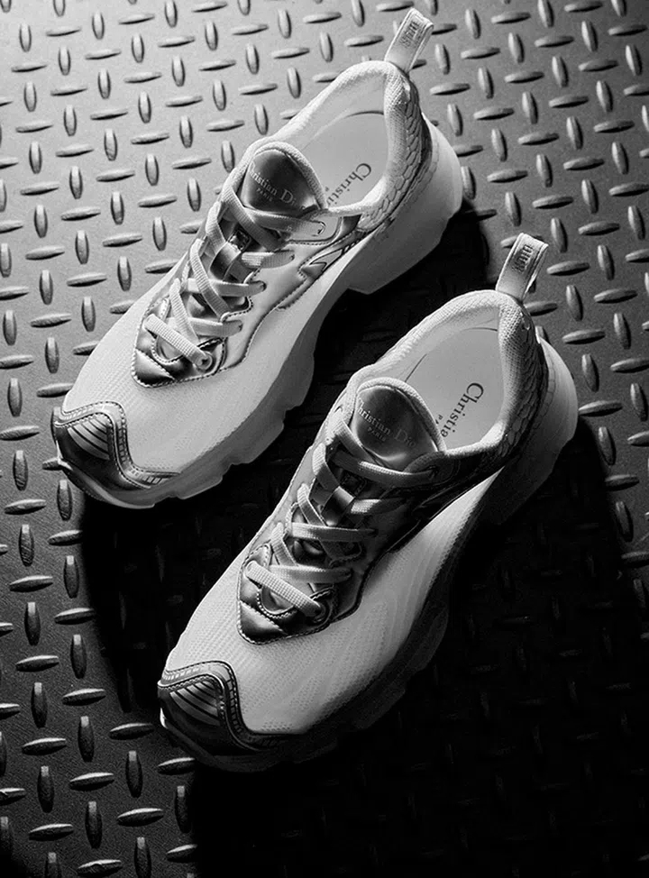 Dior Vibe shoe