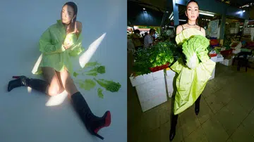 cabbage dress Sheryl Ang 洪丽婷