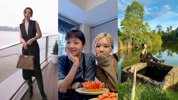 明星们的假期