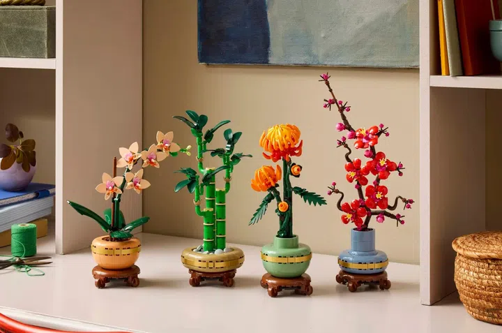 画面呈现四款 LEGO Botanicals 花艺系列植物摆设整齐排列在室内书架层板上，从左至右分别为兰花、富贵竹、菊花与梅花造型积木盆栽。每一盆植物皆放置于圆形花盆与木质底座上，造型细节丰富。兰花呈现淡粉与白色花瓣搭配绿色叶片；富贵竹以多节绿色竹干与叶片组成；菊花以橙黄色花瓣呈现盛开姿态；梅花则以红色花朵与深色枝干表现枝头绽放的画面。背景为居家书柜空间，可见书籍、画作与收纳摆件，整体光线柔和，营造出温馨、安静的居家氛围。这组植物摆设结合东方“四君子”意象与积木设计，适合作为新春或日常居家装饰摆设。