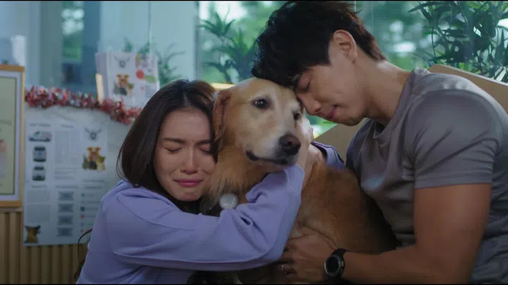 《宠他，还是爱我？》剧照。周智慧饰演的张雯豫抱着爱犬“Kito”痛哭，神情悲伤不舍，一旁的崇良轻靠着狗狗，三者紧紧依偎，呈现人与毛孩之间深厚而温柔的情感连结。