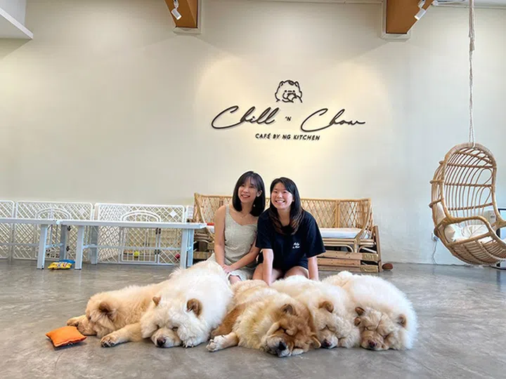 Chill'N Chow 新山狗咖