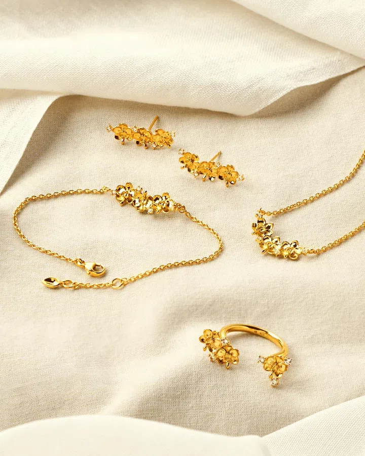 Ascocenda Garden （图: RISIS 提供）