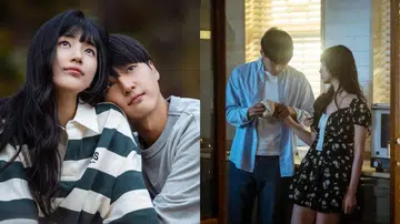 我的女神室友斗娜 doona