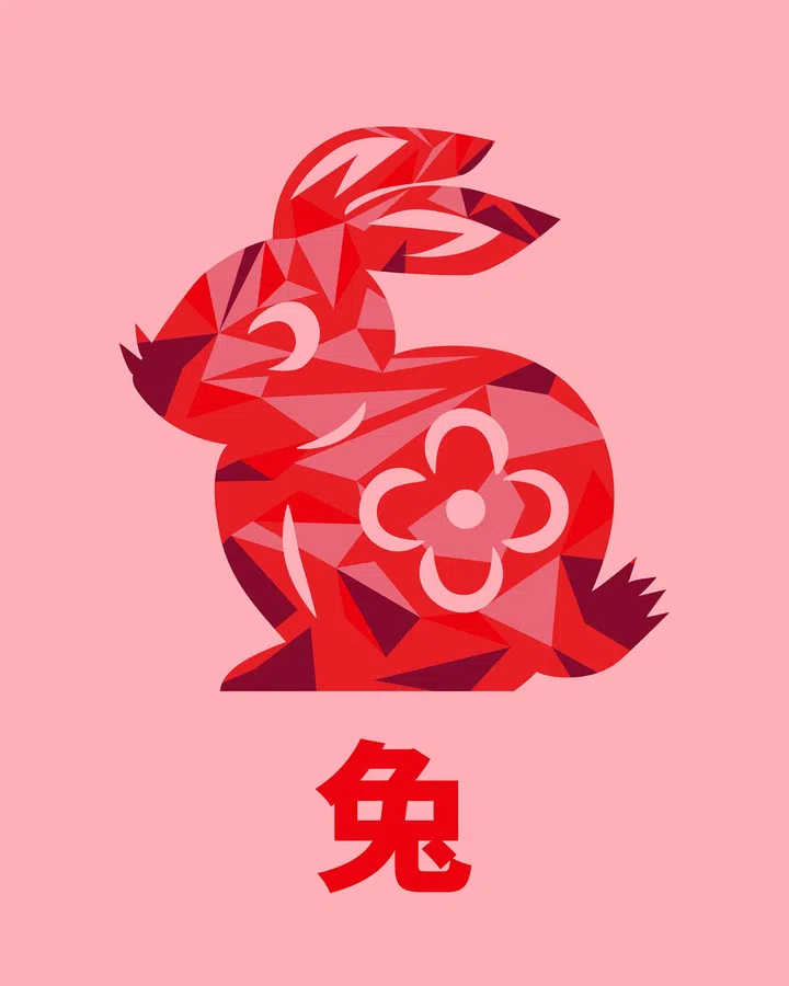 马年生肖运势——兔