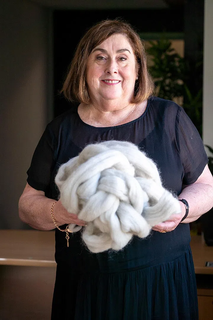 Joanne Howarth(澳大利亚)的 Planet Protector Packaging用废羊毛 生产隔热包装，用于运输对温度敏感的商品
