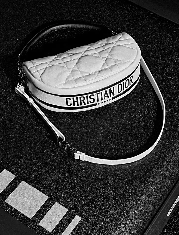 Dior Vibe Hobo bag