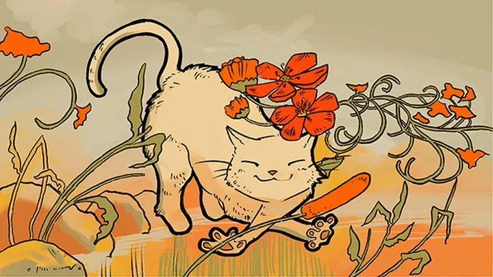 Virgo 猫 陈一熙