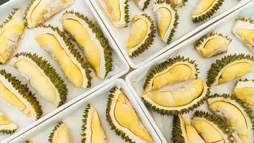 新加坡榴莲