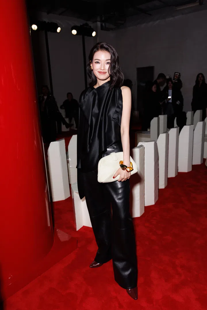 舒淇（Shu Qi）