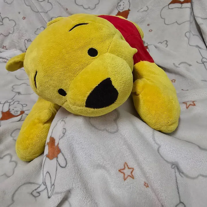 Stuffed Toys Hospital的Jane Cher是一位玩偶医生