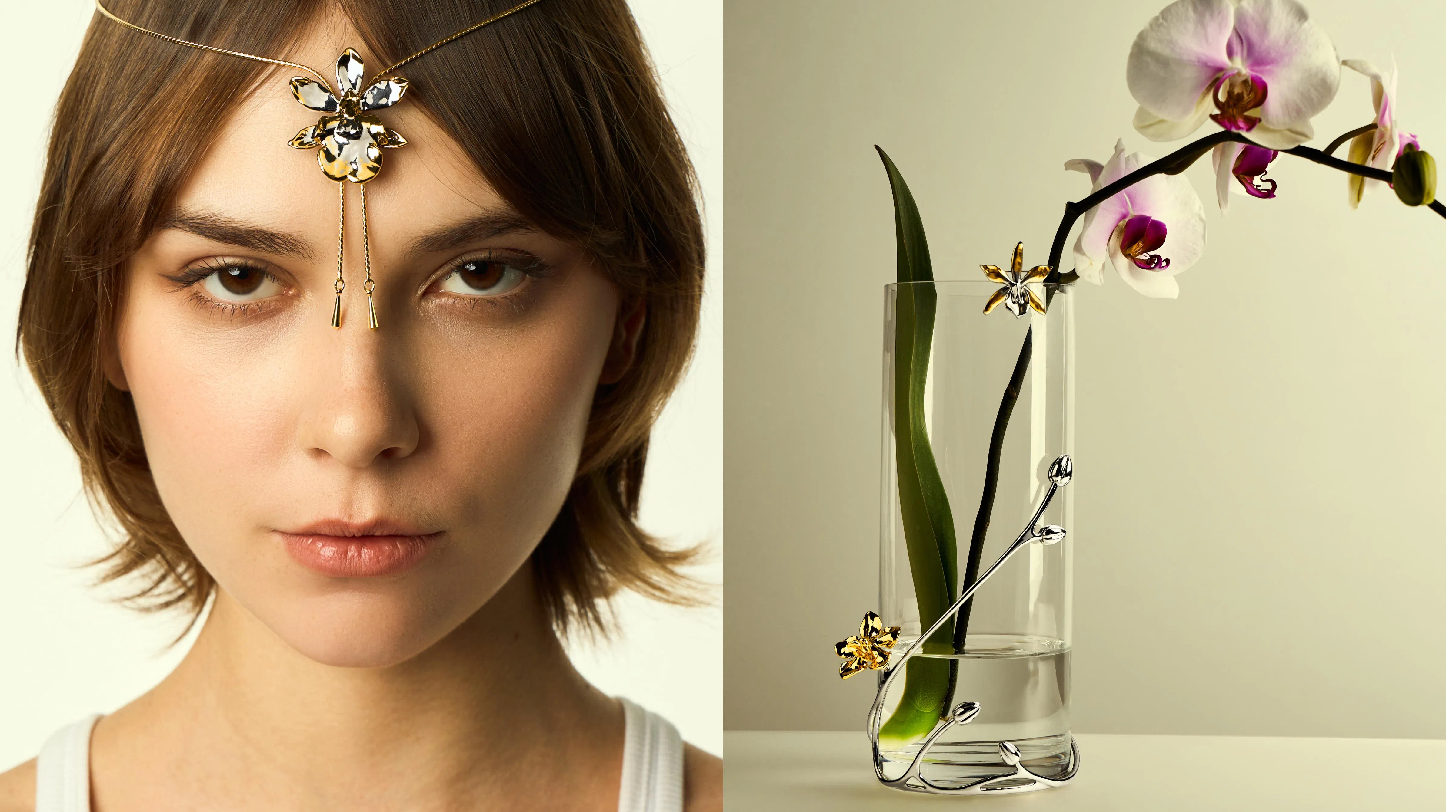 RISIS 50周年推出Jubilee Capsule Series