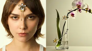 RISIS 50周年推出Jubilee Capsule Series