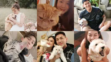 Celeb Pets 明星宠物