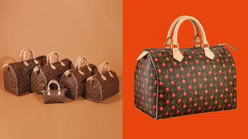 Louis Vuitton Speedy bags LV Speedy手袋