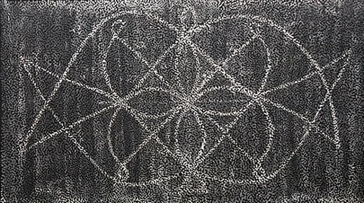 澳洲艺术家Daniel Boyd作品 《Untitled (TFPISD)》