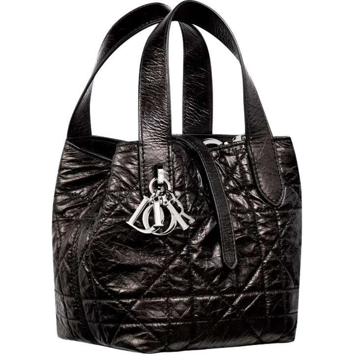 Dior Toujours Vertical Nano皮革提袋 $4,500