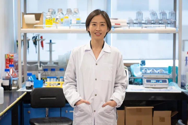 图：Dr. Xiao提供