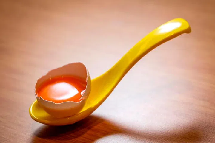 tamago-en 蛋料理