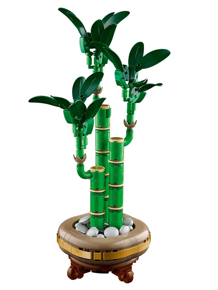 画面展示 LEGO Botanicals 富贵竹（Lucky Bamboo，10344）积木盆栽模型。主体由多节绿色竹干积木组成，呈现自然弯曲的生长结构，每节竹干以浅金色装饰环点缀，顶部生长出深绿色叶片，层次分明。竹干底部置于圆形花盆中，盆内铺有灰白色石子装饰，外圈为金色与棕色拼接的盆器设计，下方搭配深棕色底座，使整体造型稳固且具有东方园艺风格。背景为纯白底，突出植物的轮廓与结构细节。这款积木盆栽适合作为农历新年或日常居家空间的装饰摆设，呈现象征成长与生命力的视觉意象。