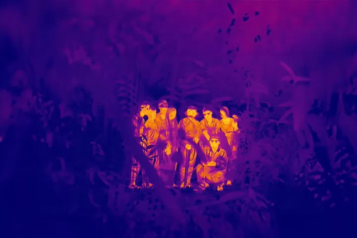 seeing forest 次森林