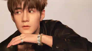 香港新生代男神魏浚笙(Jeffrey Ngai)身上变得合理。