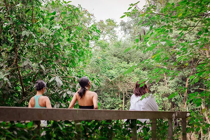 Xiu Nature Connections