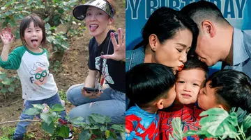 Celeb Kids 明星萌娃