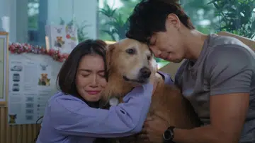 《宠他，还是爱我？》剧照。周智慧饰演的张雯豫抱着爱犬“Kito”痛哭，神情悲伤不舍，一旁的崇良轻靠着狗狗，三者紧紧依偎，呈现人与毛孩之间深厚而温柔的情感连结。